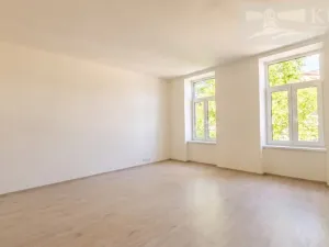 Prodej bytu 1+kk, České Budějovice - České Budějovice 3, Rudolfovská tř., 42 m2