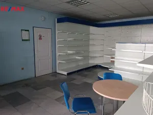Prodej komerční nemovitosti, Rataje nad Sázavou, 200 m2