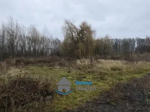 Prodej komerční nemovitosti, Sobčice, 36 m2