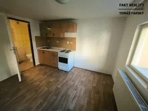 Pronájem bytu 1+kk, Děčín, Teplická, 19 m2