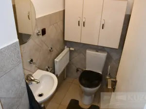 Pronájem bytu 2+kk, Plzeň, Dvořákova, 53 m2