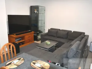 Pronájem bytu 2+kk, Plzeň, Dvořákova, 53 m2