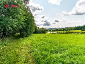 Prodej komerčního pozemku, Nová Pec, 9752 m2