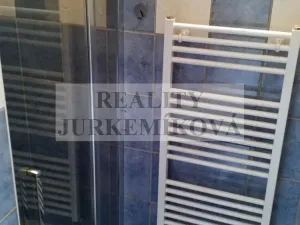 Pronájem bytu 1+kk, České Budějovice - České Budějovice 2, Husova tř., 25 m2