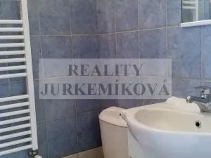 Pronájem bytu 1+kk, České Budějovice - České Budějovice 2, Husova tř., 25 m2