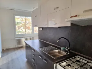 Pronájem bytu 3+1, Děčín, Slovanská, 74 m2