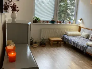 Prodej bytu 2+1, Mariánské Lázně, Franze Kafky, 54 m2