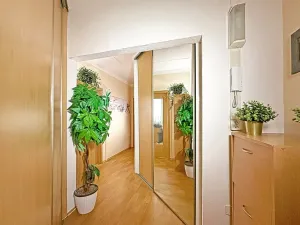 Prodej bytu 2+kk, České Budějovice - České Budějovice 2, Otavská, 45 m2