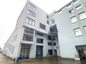 Pronájem bytu 3+kk, Brno - Trnitá, Řeznická, 1154 m2