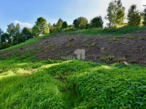 Prodej pozemku pro bydlení, Police nad Metují, U Lesovny, 6515 m2
