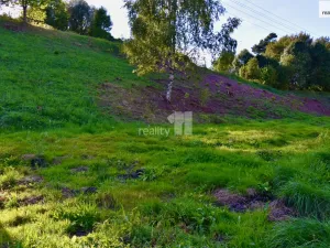 Prodej pozemku pro bydlení, Police nad Metují, U Lesovny, 6515 m2