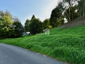 Prodej pozemku pro bydlení, Police nad Metují, U Lesovny, 6515 m2