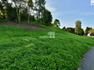 Prodej pozemku pro bydlení, Police nad Metují, U Lesovny, 6515 m2