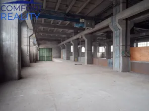 Pronájem skladu, Ostrava - Vítkovice, Halasova, 2914 m2