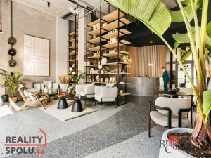 Pronájem bytu 1+kk, Brno - Zábrdovice, Bratislavská, 28 m2