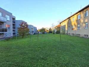 Prodej bytu 2+1, Čelákovice, V Prokopě, 65 m2