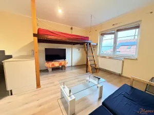 Pronájem bytu 1+kk, Holubice, Buková, 40 m2