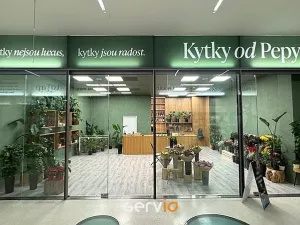 Pronájem obchodního prostoru, Brno, náměstí Svobody, 65 m2