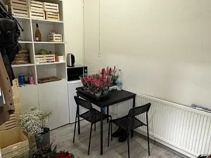 Pronájem obchodního prostoru, Brno, náměstí Svobody, 65 m2