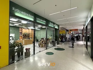 Pronájem obchodního prostoru, Brno, náměstí Svobody, 65 m2