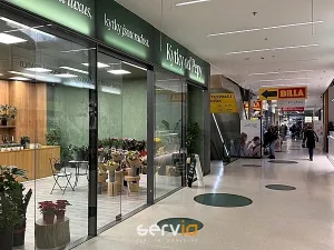 Pronájem obchodního prostoru, Brno, náměstí Svobody, 65 m2