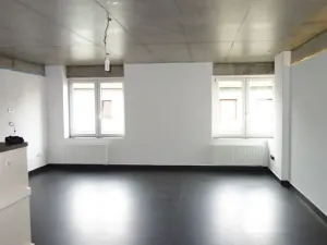 Prodej bytu 2+kk, České Budějovice, Rudolfovská tř., 98 m2