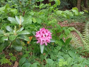 Prodej rodinného domu, Drslavice, 86 m2