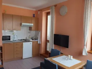 Prodej bytu 1+kk, Rokytnice nad Jizerou - Horní Rokytnice, 30 m2