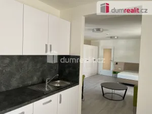 Pronájem bytu 1+kk, Opava - Město, Dolní náměstí, 49 m2