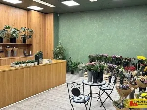 Pronájem obchodního prostoru, Brno - Brno-město, 64 m2