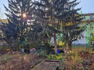 Prodej bytu 2+1, Brno, Svatopluka Čecha, 49 m2