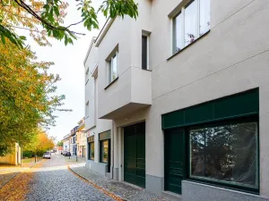 Prodej bytu 5+kk, Praha - Střešovice, Nad hradním vodojemem, 193 m2