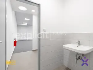 Pronájem obchodního prostoru, Brno, 444 m2