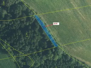 Dražba lesa, Písečná, 447 m2