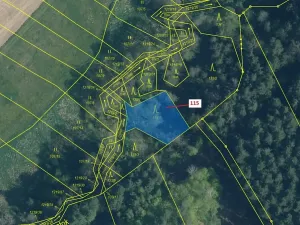 Dražba lesa, Trhové Sviny, 590 m2