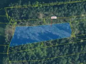 Dražba lesa, Trhové Sviny, 3603 m2