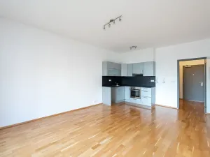 Pronájem bytu 2+kk, Praha - Vinohrady, Korunní, 64 m2