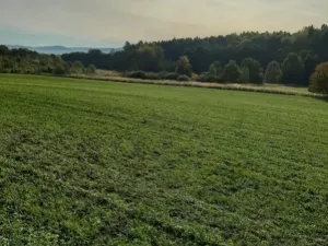 Prodej pole, Postupice - Čelivo, 12039 m2