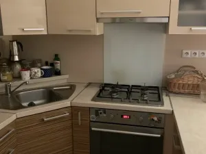 Pronájem rodinného domu, Hodonín, Levandulová, 100 m2