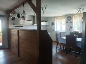 Prodej rodinného domu, Kynšperk nad Ohří, Sokolovská, 508 m2