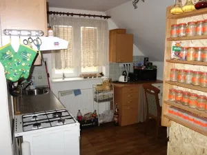 Prodej rodinného domu, Kynšperk nad Ohří, Sokolovská, 508 m2