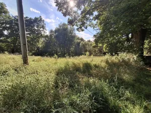 Prodej pozemku pro bydlení, Milíkov, 4644 m2