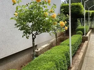 Prodej rodinného domu, Pula, Chorvatsko, 212 m2