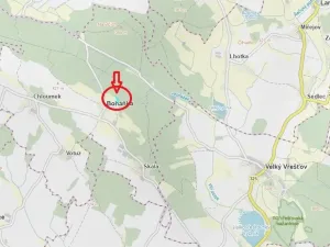 Prodej lesa, Boháňka, 3705 m2