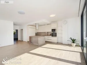 Pronájem rodinného domu, Praha - Břevnov, Oddělená, 250 m2