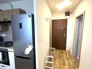 Pronájem bytu 1+1, Olomouc, Heyrovského, 33 m2