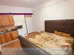 Pronájem pokoje, Praha - Holešovice, U smaltovny, 19 m2