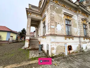 Prodej rodinného domu, Vyškov, Havlíčkova, 368 m2