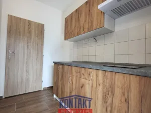 Pronájem bytu 1+kk, Kaplice, Linecká, 20 m2