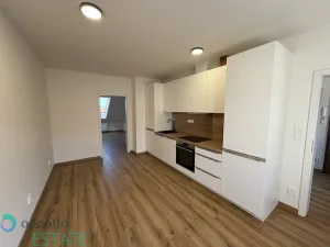 Prodej bytu 2+kk, Praha, Seifertova, 39 m2